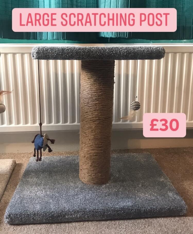 gumtree cat scratching post